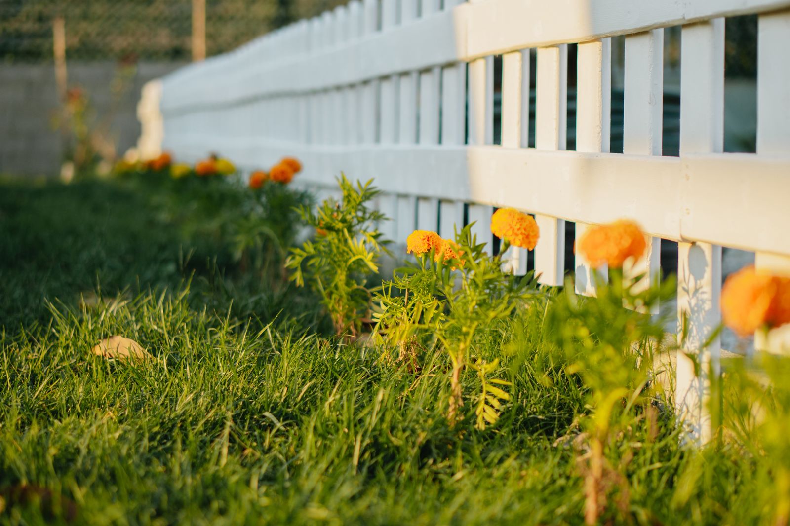 riverside-drinos-garden-flowers